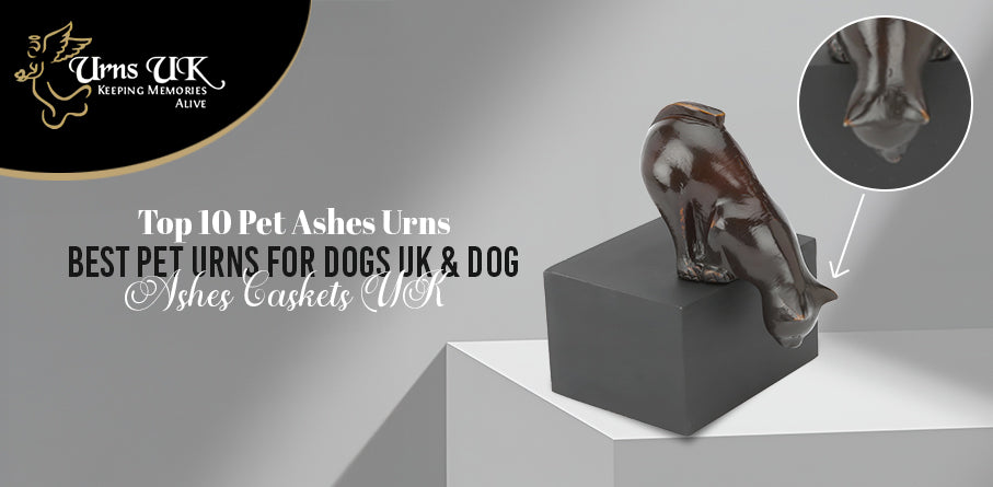 Top 10 Pet Ashes Urns: Best Pet Urns for Dogs UK & Dog Ashes Caskets UK