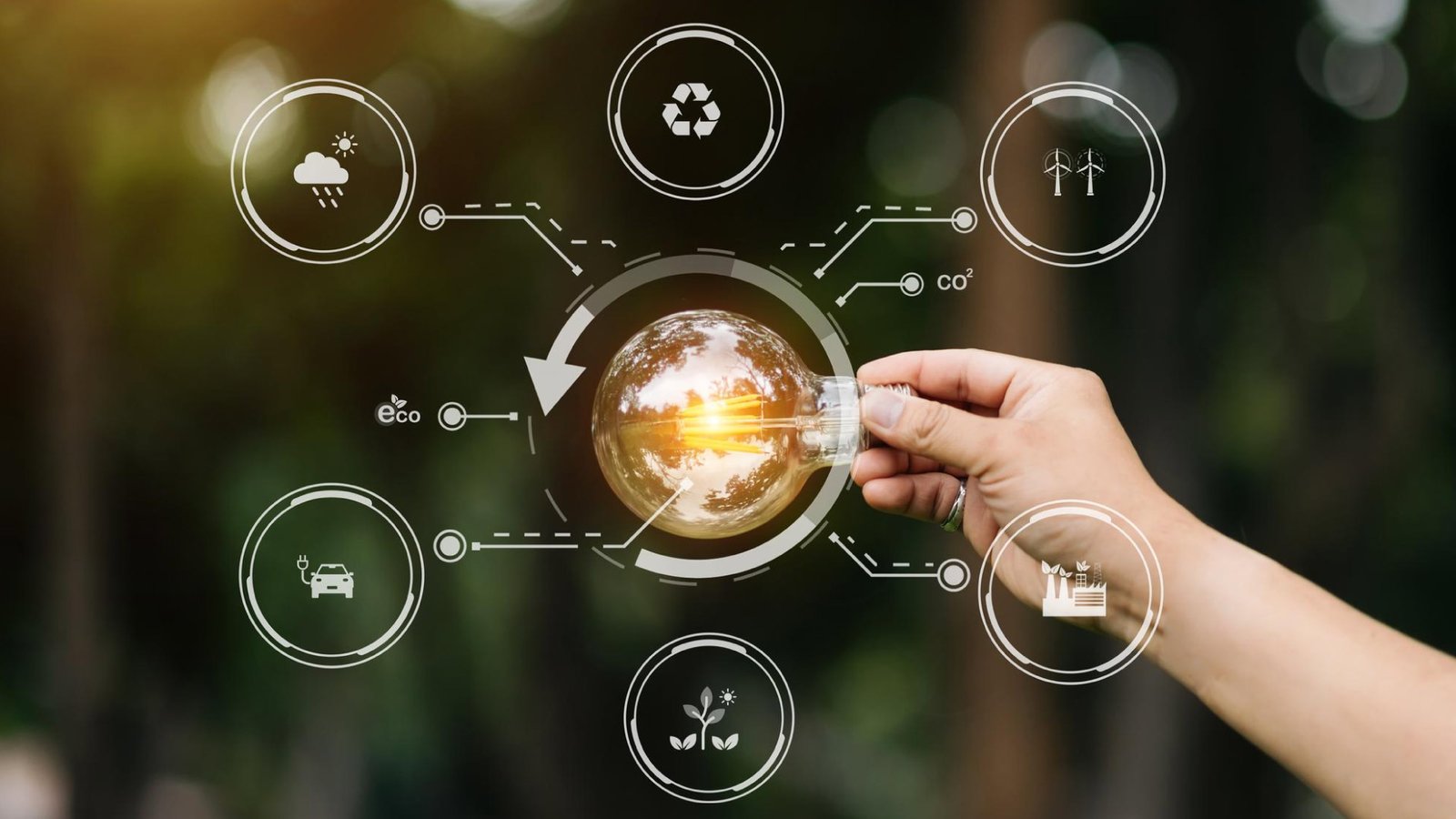 Driving Innovation Through The Circular Economy Model