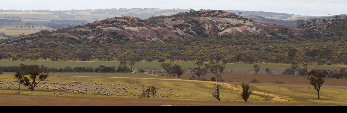 Lemonade Valley Cover Image