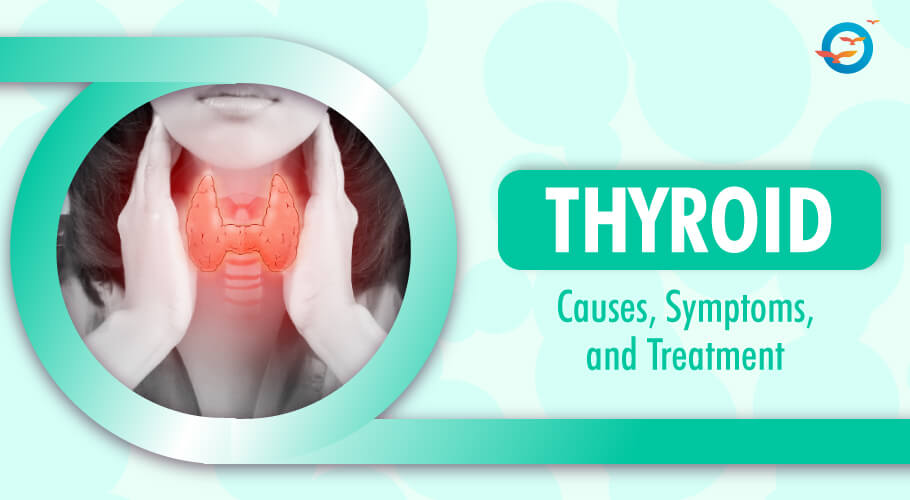 What is thyroid and their Causes, Symptoms, and Treatment - Freedom from Diabetes