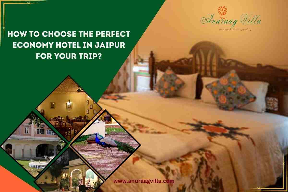 How to Choose the Perfect Economy Hotel in Jaipur for Your Trip?