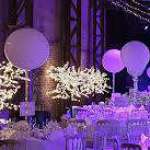 Celebration Trees profile picture