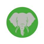 Elephant Trunk Moving Services Profile Picture
