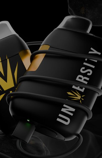 Shop Premium THCP Vapes – Next Level Strength | Trap University