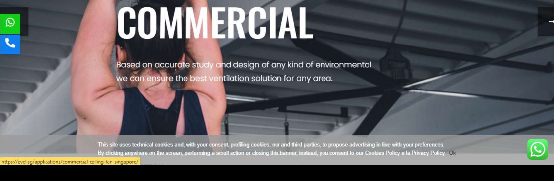 Evel Singapore Cover Image