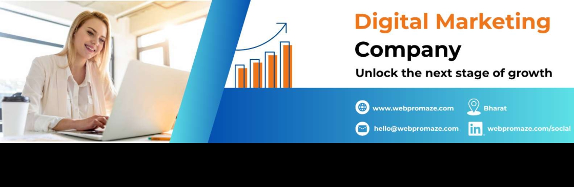 WebProMaze Private Limited Cover Image