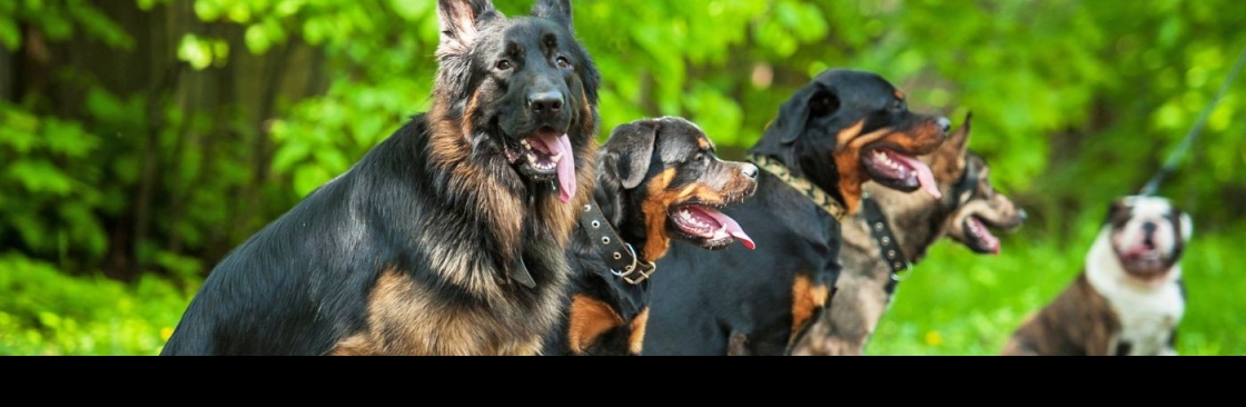 caninemoxy Cover Image