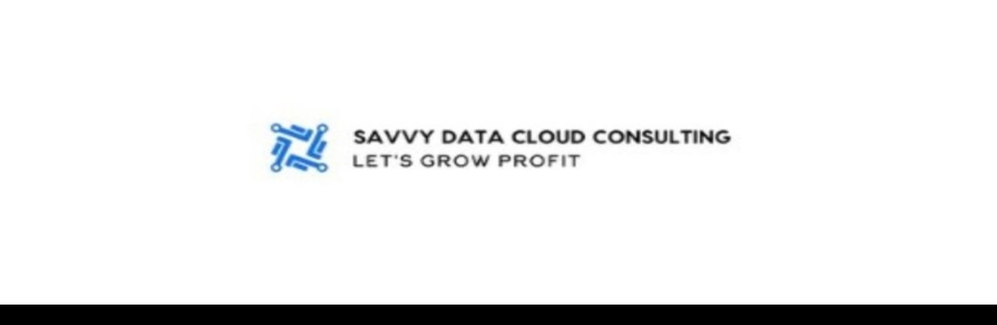 Savvy Data Cloud Consulting Cover Image