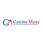 caninemoxy Profile Picture