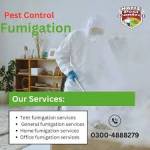 Abdullah Amin Profile Picture