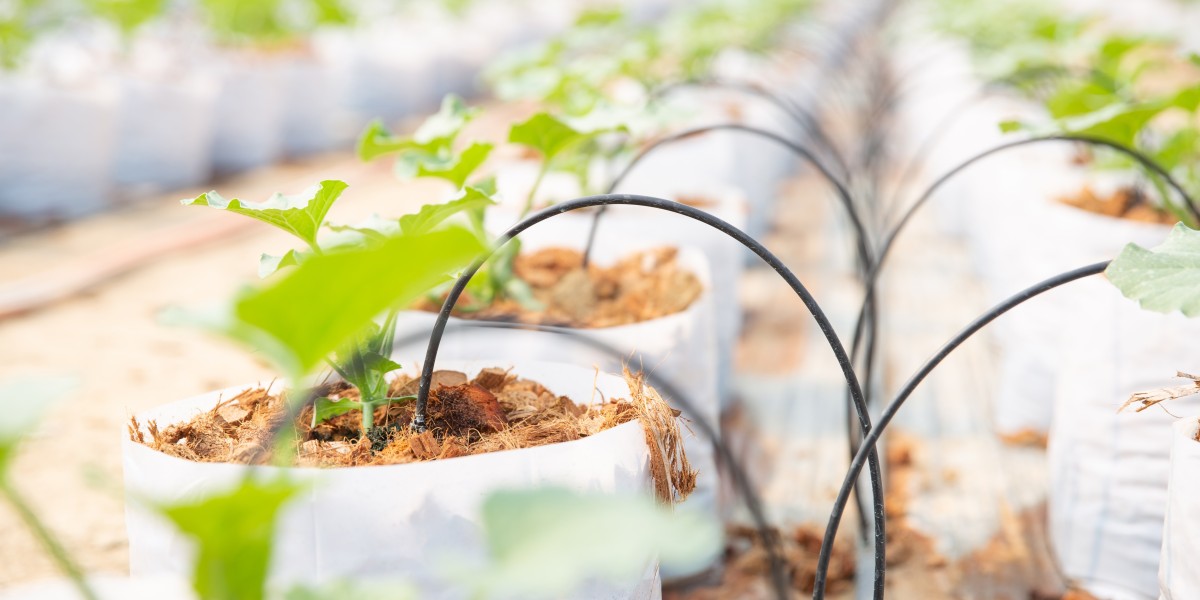 How Can Drip Irrigation Save Your Farm Water And Money?