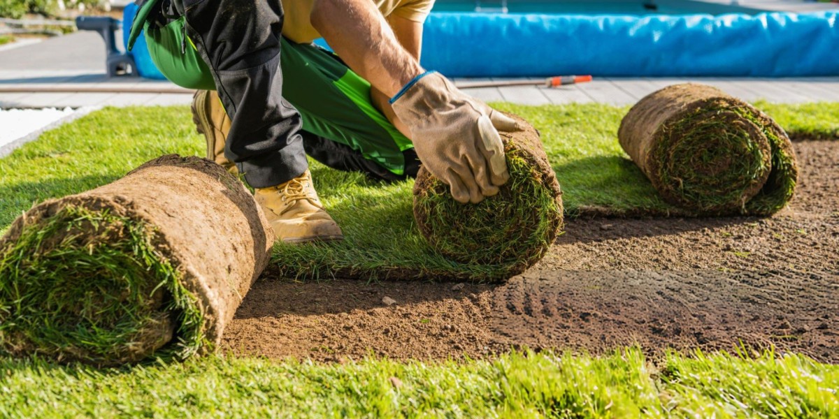 Sod Installers Near Me: Professional Lawn Solutions by Texas Sod Pros