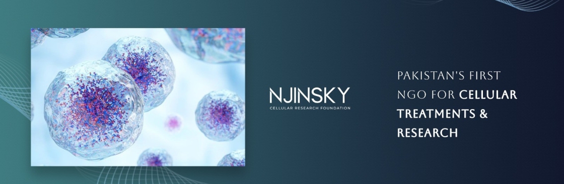 Njinsky Foundation Cover Image