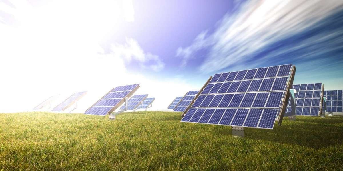 Best Solar Company in Kerala: What Makes Avansa Future Energy Different