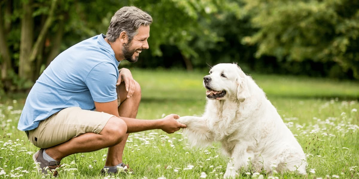 Dog Care Tips for Beginners: Smart Pet Care Guide Today