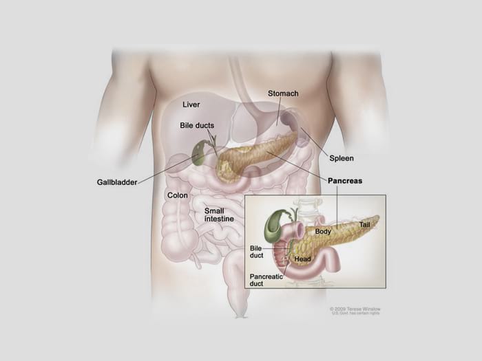 Inguinal Hernia Treatment in Chennai | Dr. Kumargurubaran