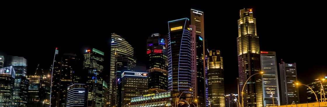 Singapore Immigration Partners Cover Image