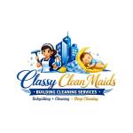 classy clean expert Profile Picture