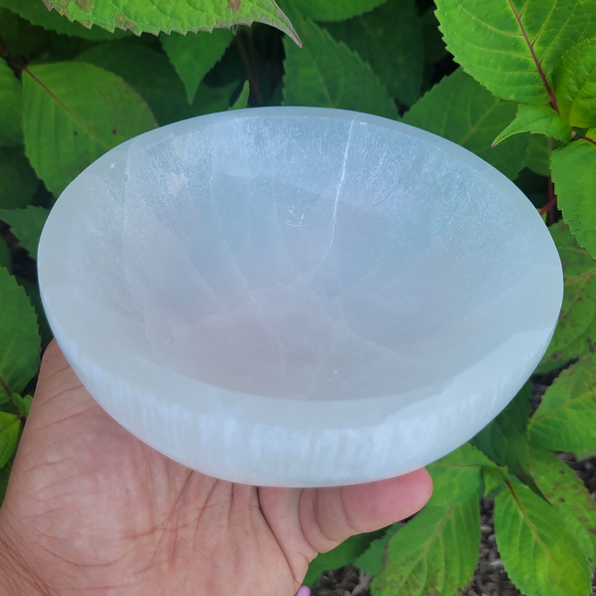 Selenite Bowl XL for Crystal recharging - Premier Halite Inc.
