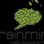 Brainmine Web Solution Profile Picture