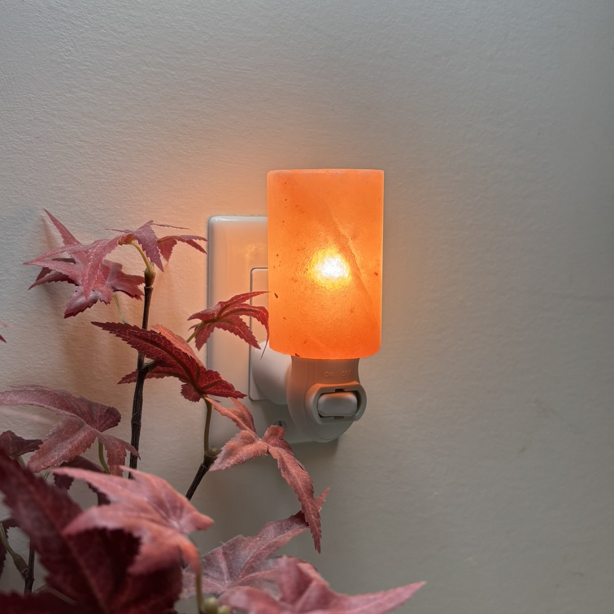 Pink Salt Night Light Cylinder - Premier Halite Inc.
