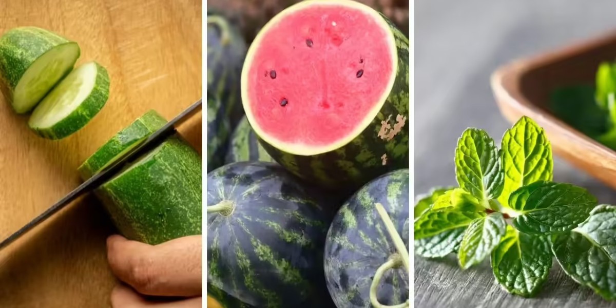Water-Rich Fruits That Help Prevent Dehydration