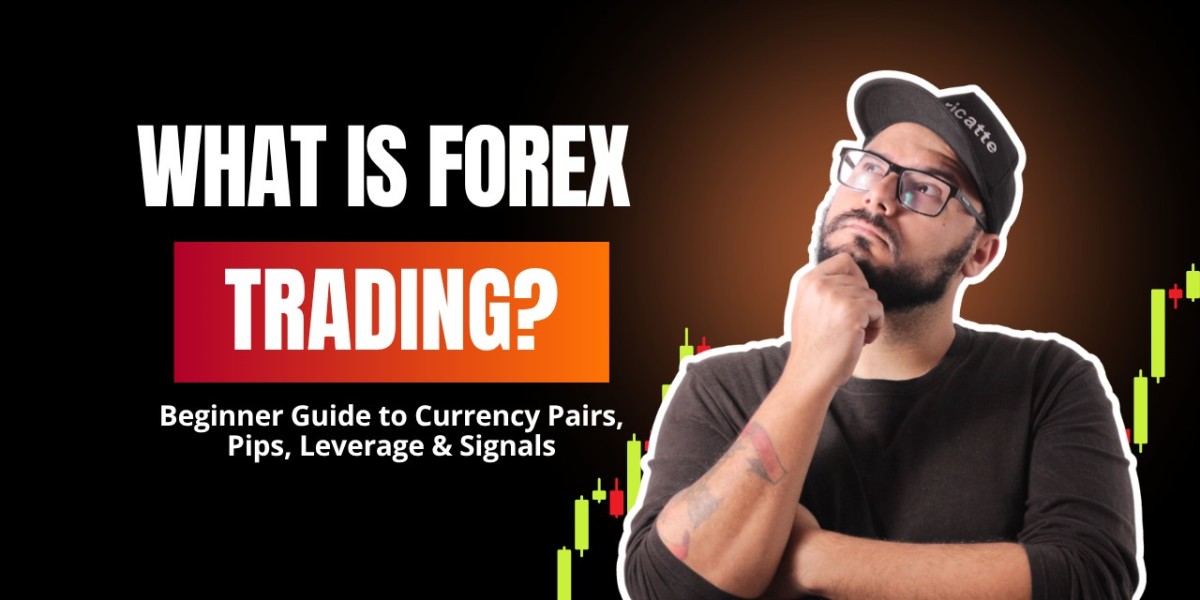 Forex Trading Signals for Beginners