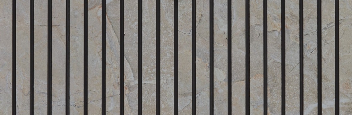 Kaka Industries Limited Cover Image