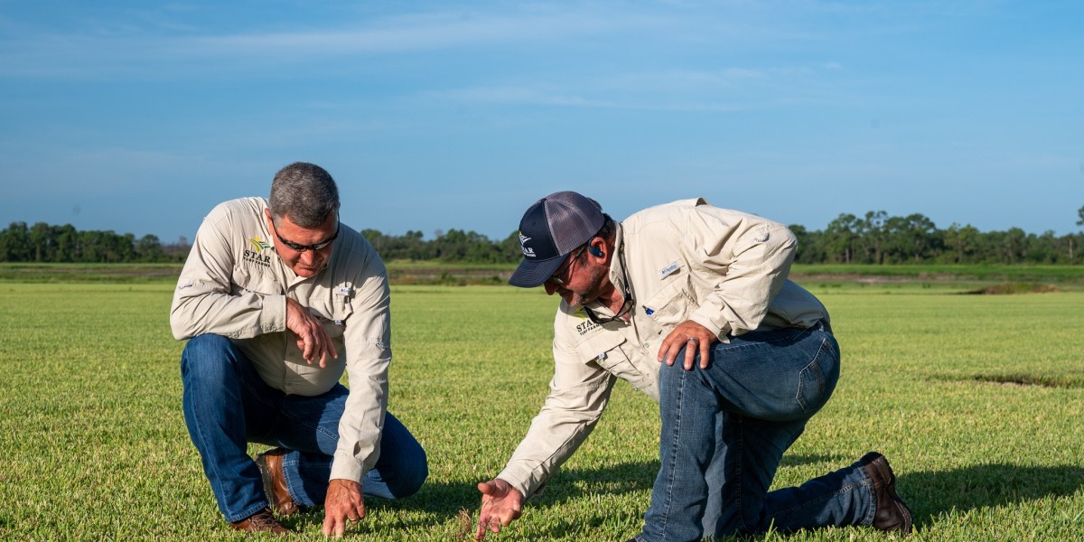 Best High Quality Turf Provider for Residential and Commercial Landscaping