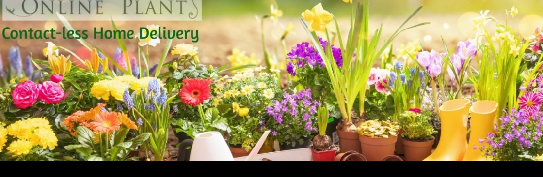 Online Plants Cover Image