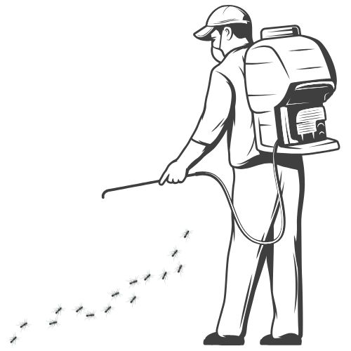 Possum Removal Cranbourne | Safe & Humane Solutions for Your Home