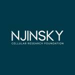 Njinsky Foundation profile picture