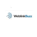 Weblinkbuzz Ltd Profile Picture