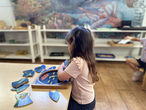 Montessori for Toddlers