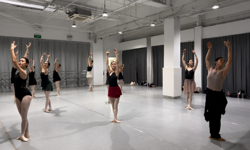 What Are the Basic Ballet Fundamentals Every Beginner Should Learn?
