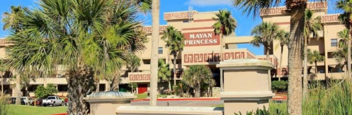 The Mayan Princess Cover Image