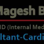 Magesh Balakrishnan Profile Picture