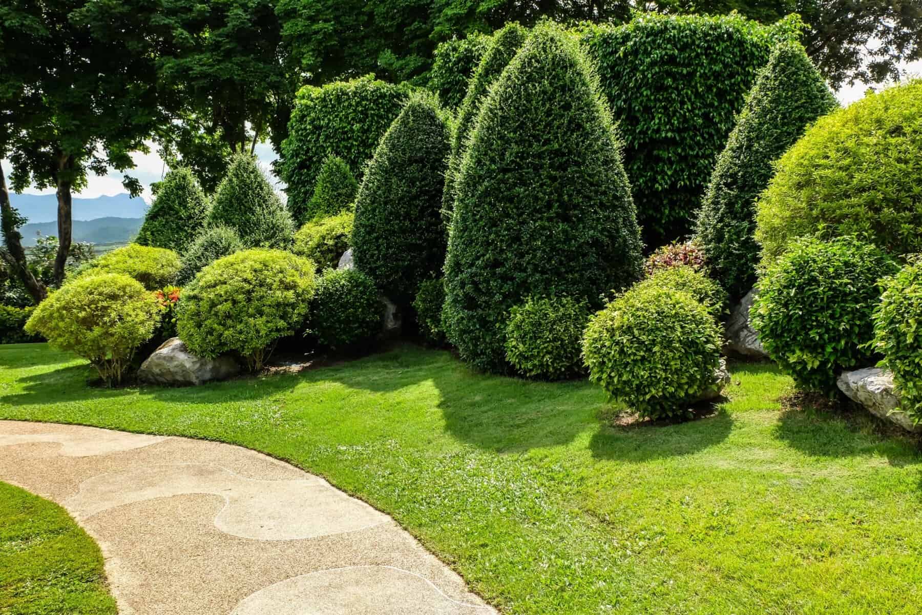 Tree Pruning Sutton - Parish Arboriculture Ltd