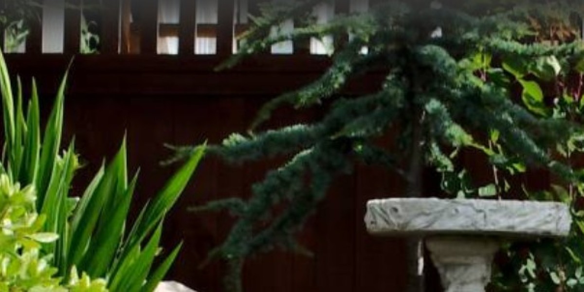 Landscaping Services Sydney | Expert Garden & Outdoor Solutions