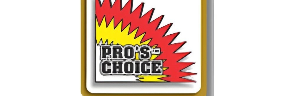 Pro Choice Cover Image