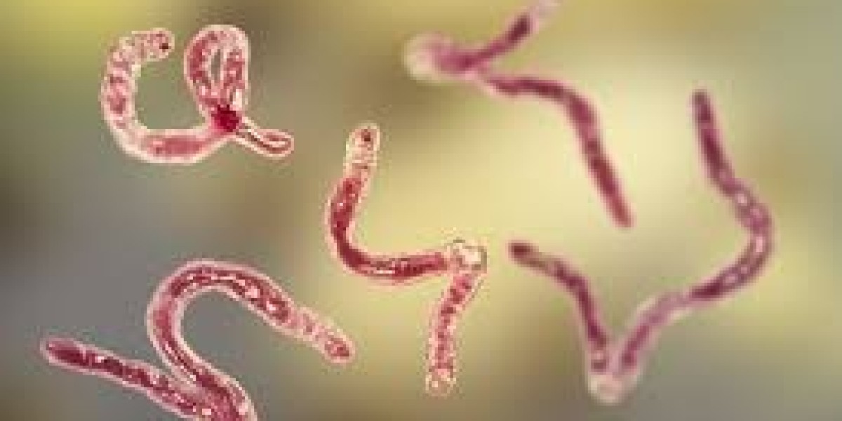 How Do Parasites Enter the Human Body?