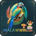 macawwin macawwin Profile Picture