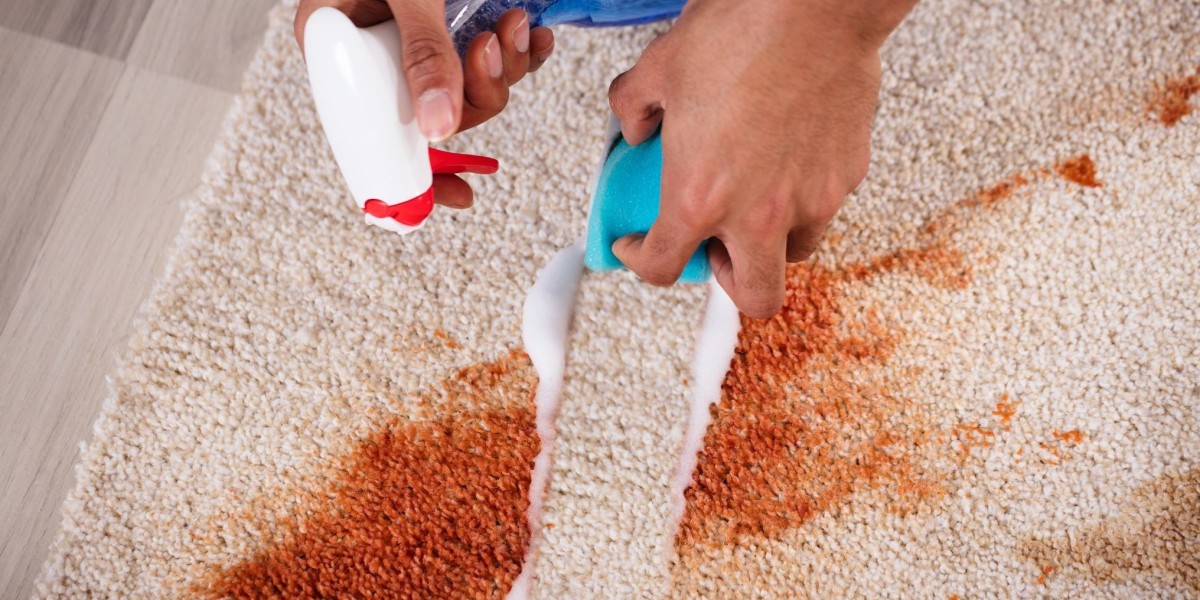 What to Look for When Choosing a Carpet Cleaning Company in Lakewood
