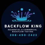backflow king Profile Picture