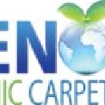 KleenDryCarpetCleaning Profile Picture