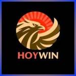 hoywin hoywin Profile Picture