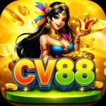 cv88 cv88 Profile Picture