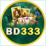 333bd 333bd Profile Picture