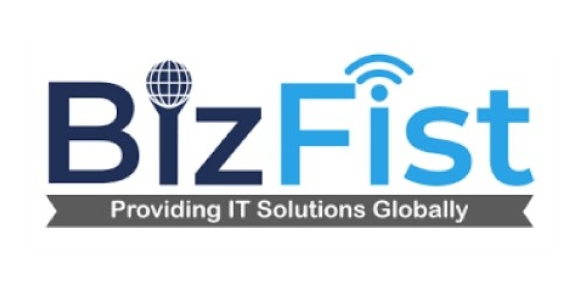 Why Should You Choose Bizfist IT Solutions for Professional Web Designing  ?