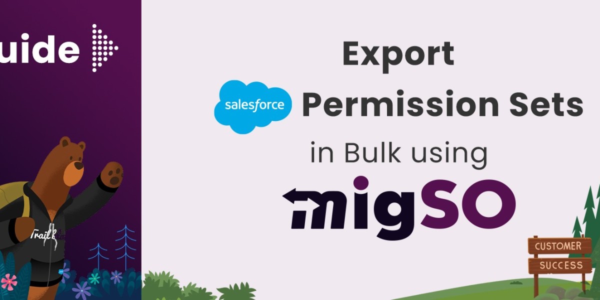 Guide to Export Salesforce Permission Sets By using migSO